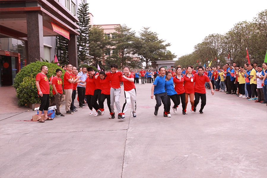 Company team activities